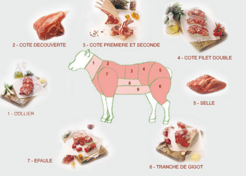 agneau